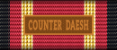 COUNTER DAESH