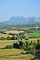 Forêt de Saou depuis Chabrillan (24 août 2012)