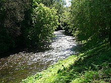 Farbfotografie von einem schmalen Flussverlauf, der durch einen dichten Wald führt.