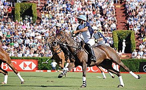 Campo Argentino de Polo, hlavný štadión konského póla v meste.