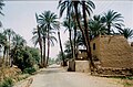 Nildalen nær Luxor i Egypt