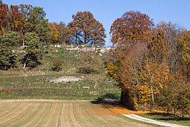 Geröllablagerung im Osten