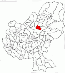 Location in Mureș County