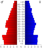 Bevolkingspiramide Gooding County