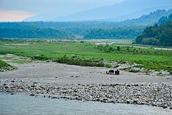 View of Bhutan Himalayas from Manas National Park