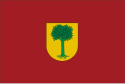 Guirguillano - Bandera