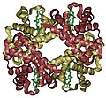 Tridimensia strukturo de hemoglobino kun ĝia kvar hemoj (verdkoloraj)