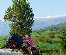 März: Frühling in Südalbanien (Kreis Gjirokastra)