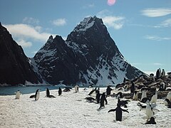 Elephant Island, Point Wild