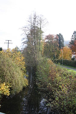 Skyline of Heimbuchenthal