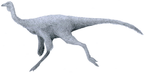 Ornithomimus