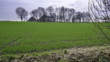 De wierde in de lente