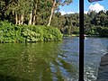 View of Pykara lake from a boat