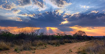 Crepuscular rays at Sunset near Waterberg Plateau edit