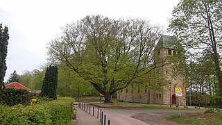 Denkmalsbuche in Holsten-Bexten