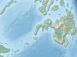 Ti Danaw Wood ket mabirukan idiay Mindanao