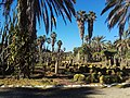 Cactus Garden at Yarkon Park