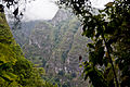 Levada do Caldeirão Verde