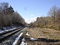 Banens tilgroede spor inden forlængelse af stien til Viborg Station