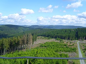 Hohe Seite bis Reetsberg