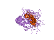 1z6w: Human Lactoferricin