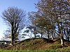 Wolf's Castle motte from the east