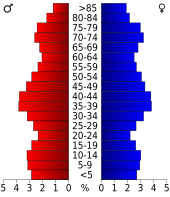 Bevolkingspiramide Palm Beach County