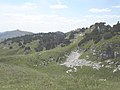 Summit of the Crêt de la Neige, with Le Reculet in the background