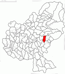 Location in Mureș County