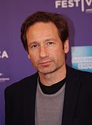 David Duchovny, actor american