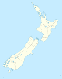 Südafrikanische Cricket-Nationalmannschaft in Neuseeland in der Saison 1963/64 (Neuseeland)