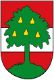 Dornbirn – Stemma