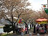 Yocheon River in spring (2008) - II