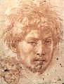 Andrea del Sarto, Cap d'home