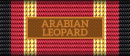 ARABIAN LEOPARD