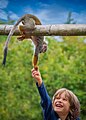 Happy little boy with a squirrel monkey