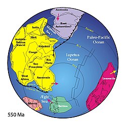 A Gondwana őskontinens rekonstrukciós képe, első kialakulásának végén, kb. 550 millió évvel ezelőtt.