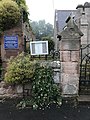 Specimen growing out of crevices in front wall of church grounds, Paxton, Scottish Borders