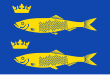 Vlag van De Rijp