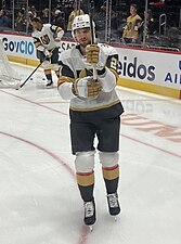 Shea Theodore