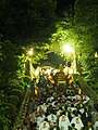 Kibune Festival (Mikoshi)