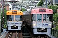 Serie 1000 auf der kapspurigen Inokashira-Linie