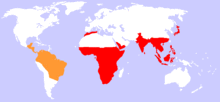 Approximate worldwide distribution of monkeys.