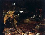 Paolo Porpora: Sottobosco mit Krebs und Schildkröte, um 1652, Musée-des-Beaux-Arts, Nancy