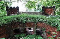 Inside the overgrown circular pit which contained the bear