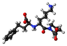 Ball-and-stick model of the lisinopril zwitterion