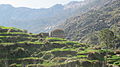 Amlukdara stupa, near Barikot, Swat