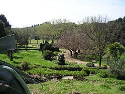 Panorama