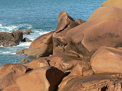 Côte de granit rose après la pluie (détail).