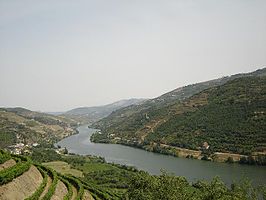 De Douro tussen de Portugese wijngaarden